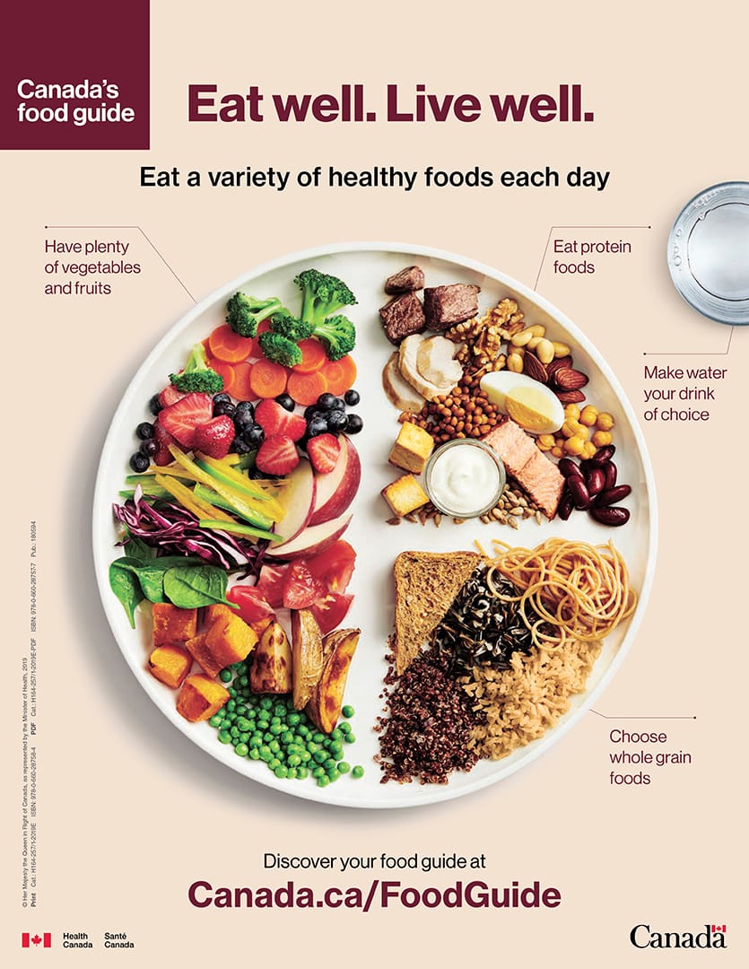 Dairy, beef farmers defend products while food guide promotes plant protein post image