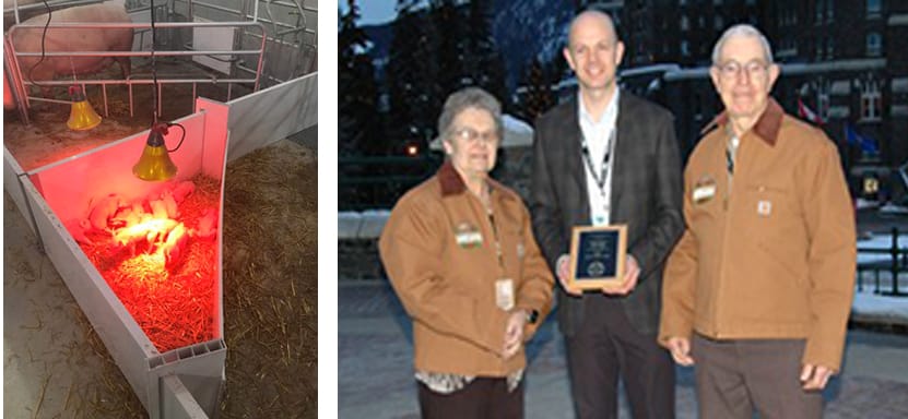 Piglet protection device earns innovation prize for local farm post image