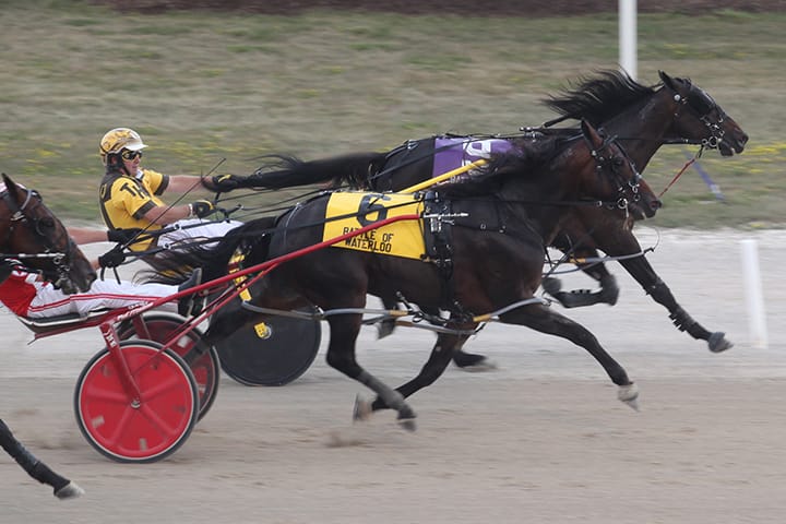 Horse racing industry spurred by cash injection post image