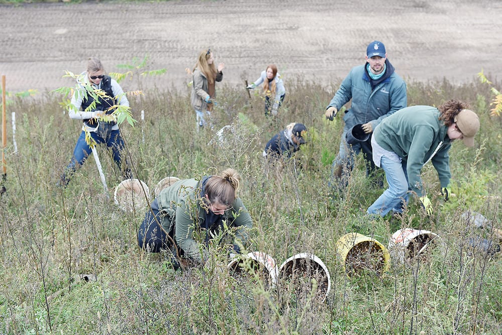 County report: Green Legacy committee  terminated - but program continues to thrive post image