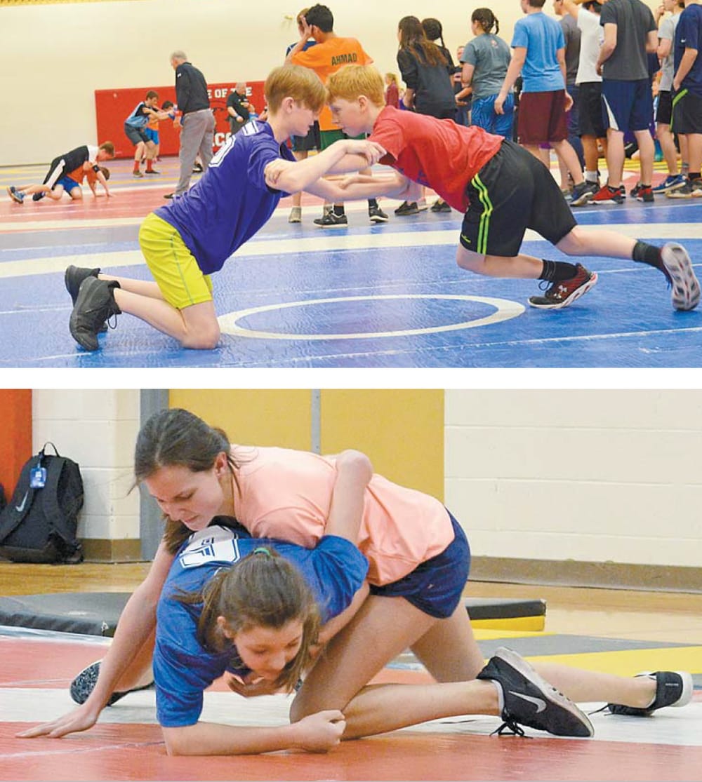 Head to head post image