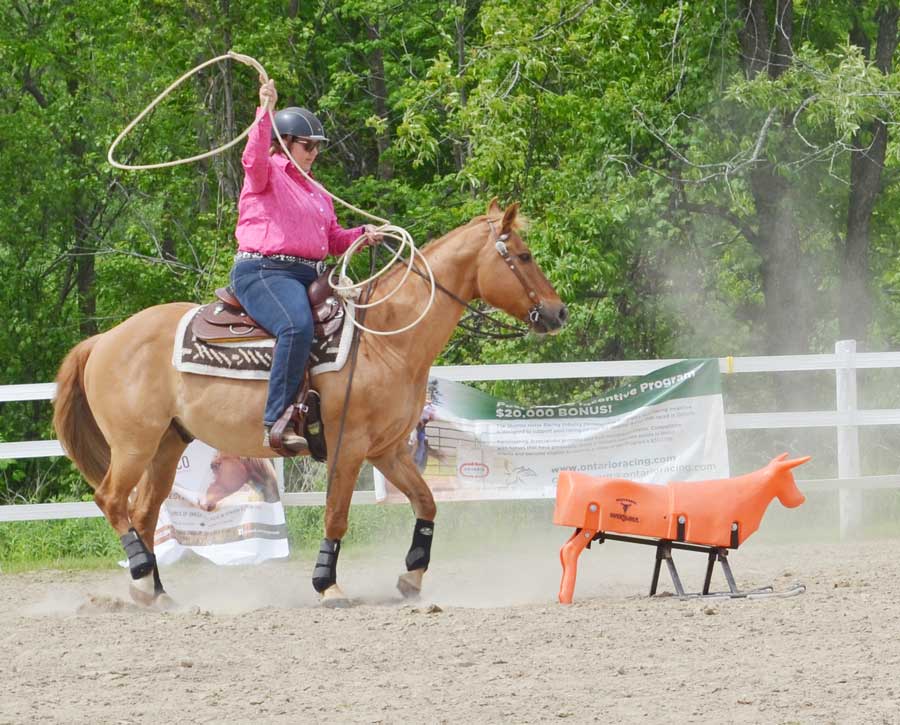 Competitors took part in Ontario Xtreme Cowboy event at Erin fairgrounds post image