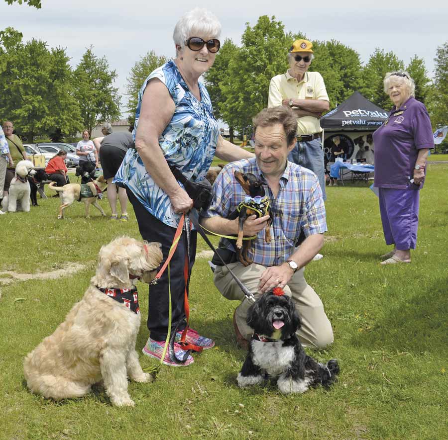 Walkers support dog guide training at annual Fergus event post image