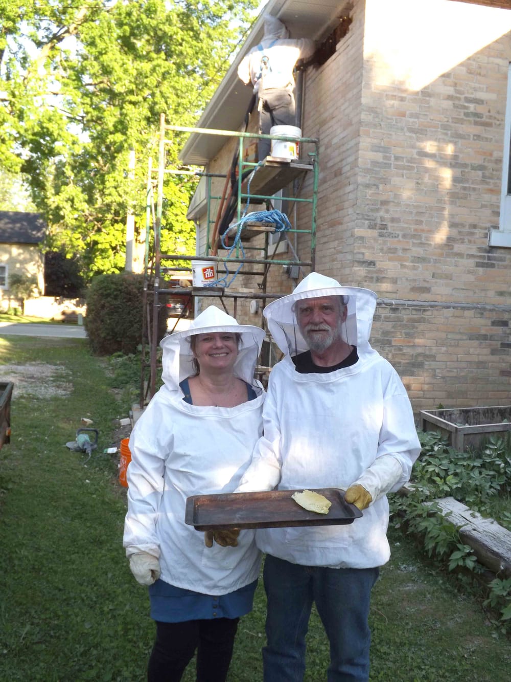 Bee rescue specialist removes massive hive post image