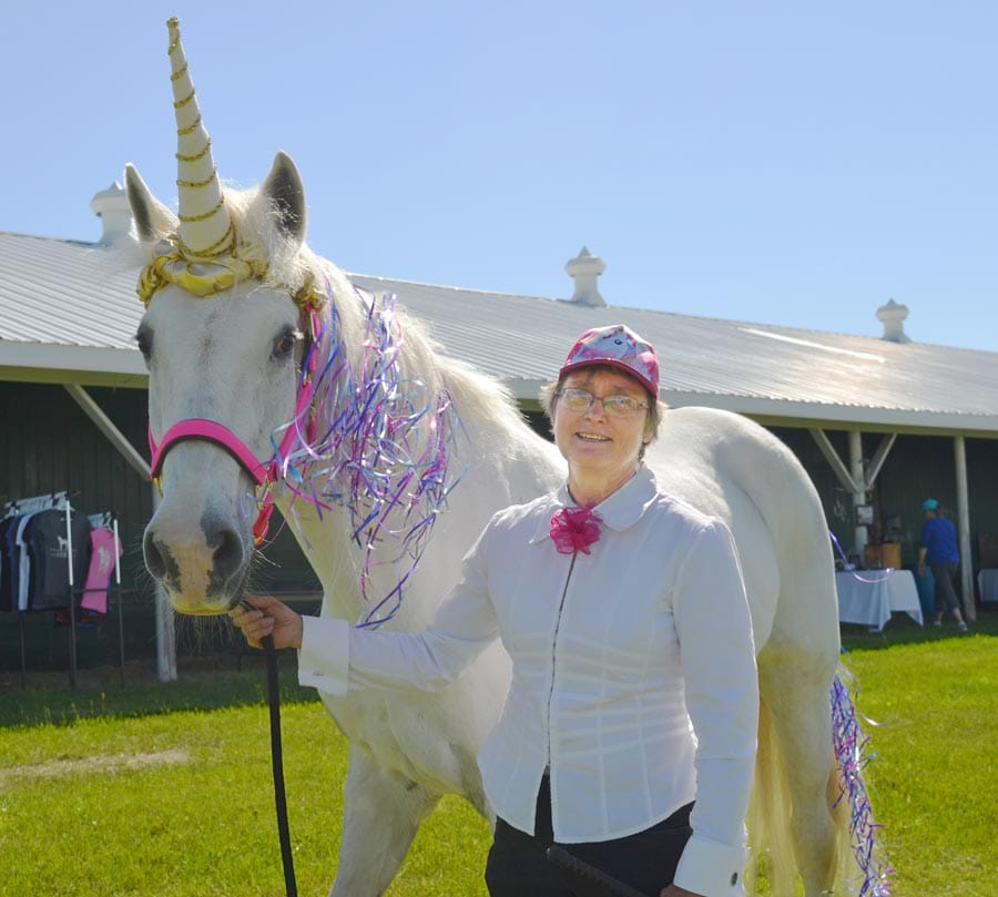 Horse Day Erin took included a variety of equine events post image