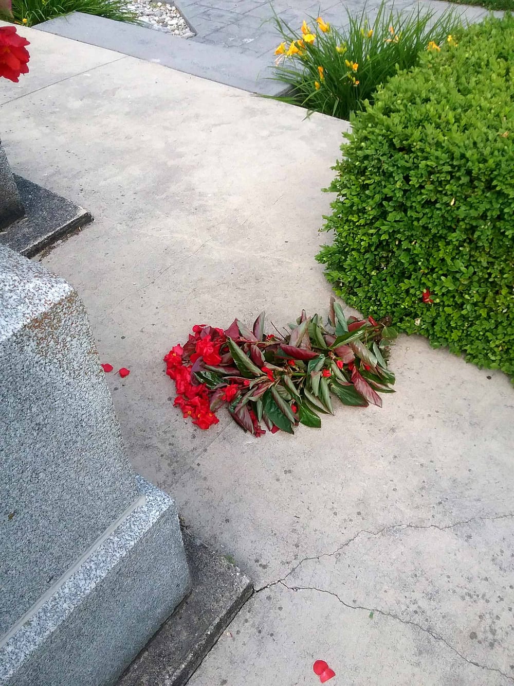 Vandalism at Mount Forest cenotaph post image