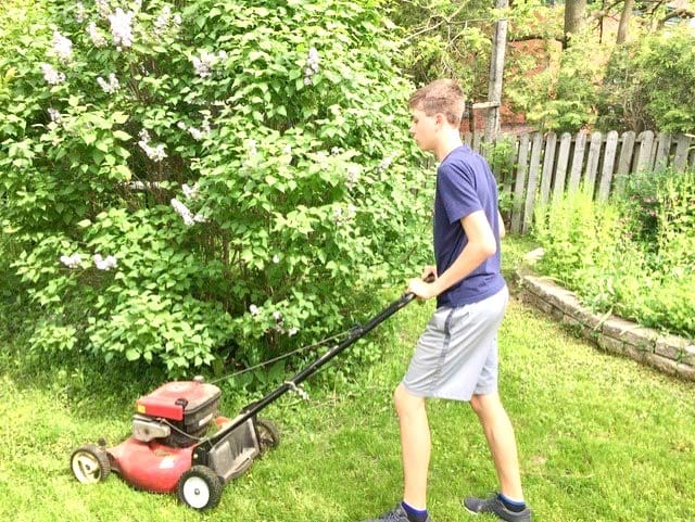 Boyz Next Door Lawns and More handle lawn care and odd jobs post image