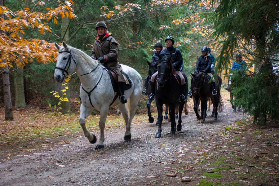 Second annual Hooves for Hospice raised $3000 for Hospice Wellington post image
