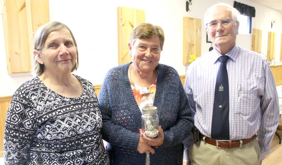 Yenssen wins Judge’s Choice award at OHA District 7 flower show post image