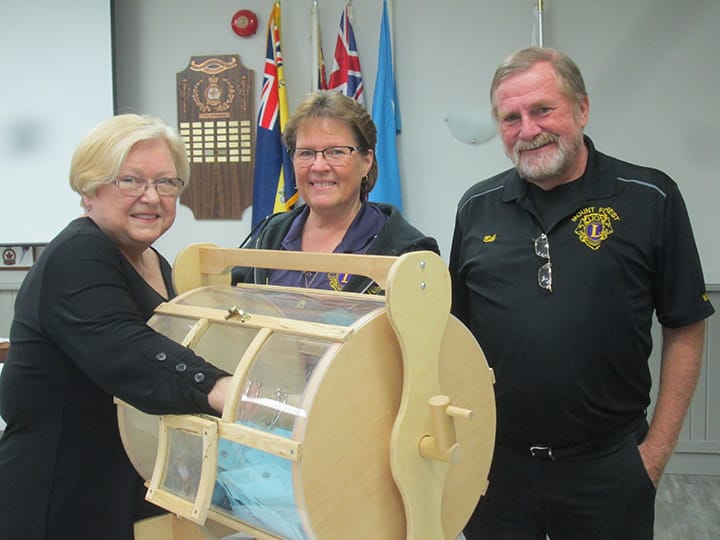 Mount Forest Lions Club held Light Up the Night draw post image