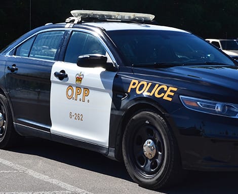 Young child dies in tragic accident on Wellington North farm post image