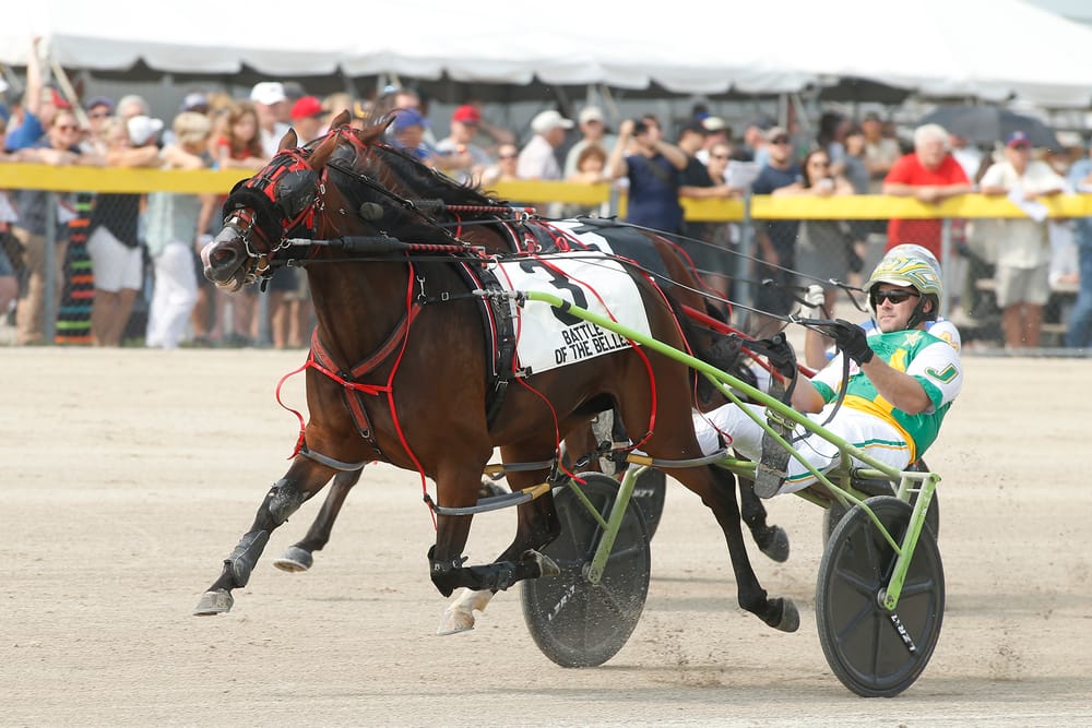 Grand River Raceway hopes to resume racing by July post image