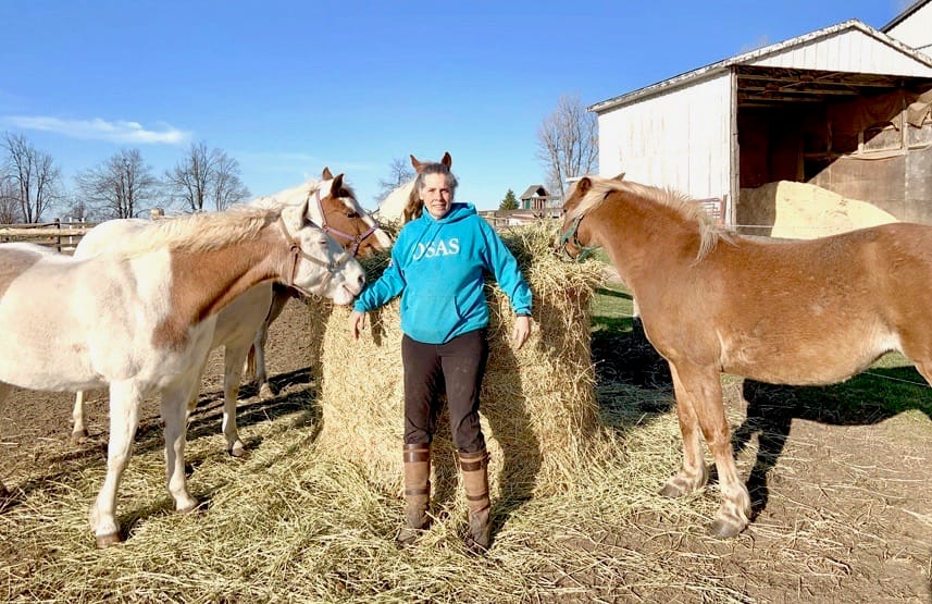Equine industry feeling fallout of COVID-19 pandemic post image