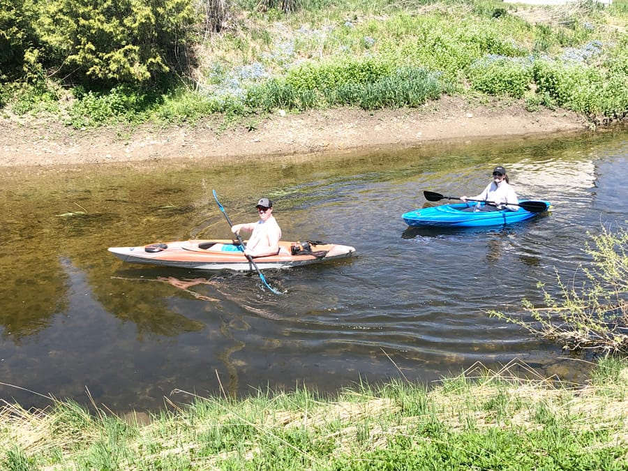 Kayakers enjoy the Maitland River post image