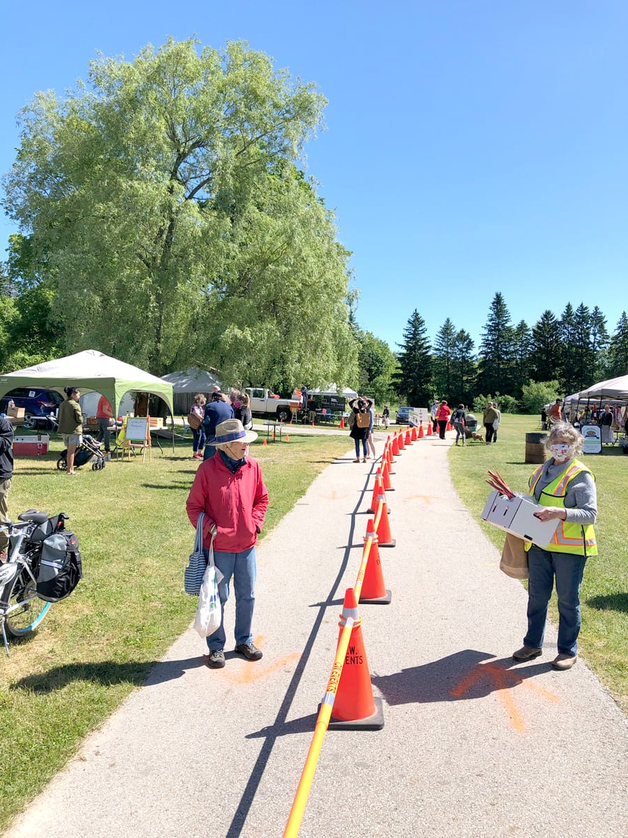 Elora Farmers' Market uses fresh approach for patrons post image