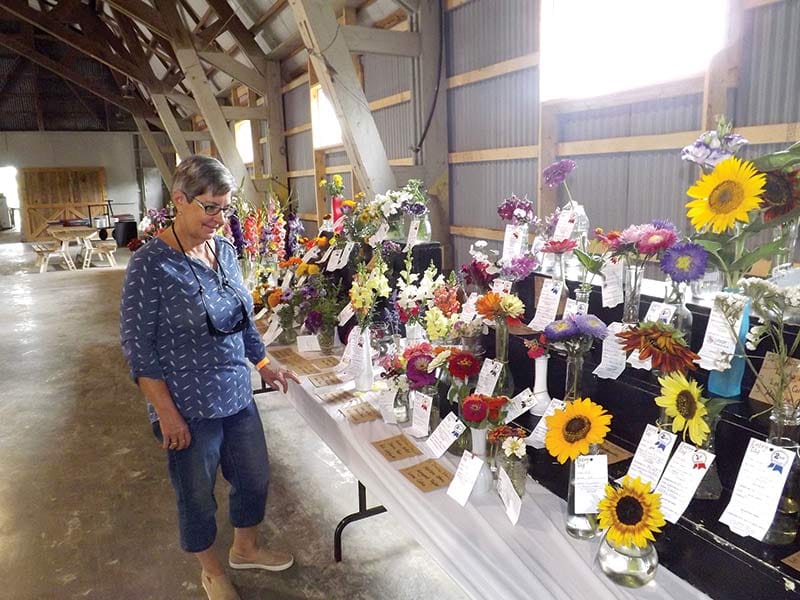 Society calls on community to celebrate spirit of fair post image