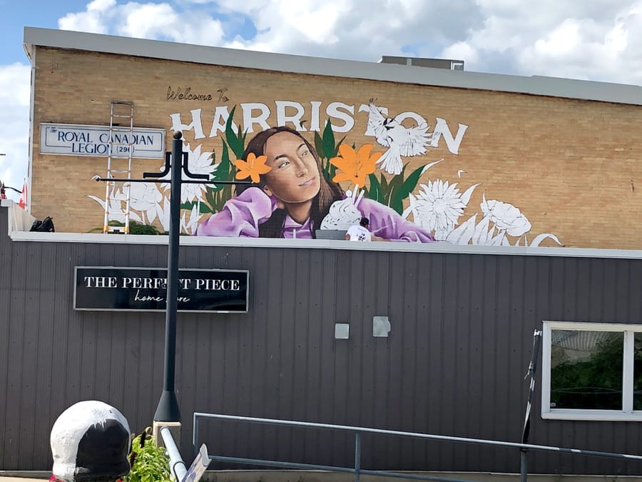 Mural Mania in Minto brings public art to downtown post image