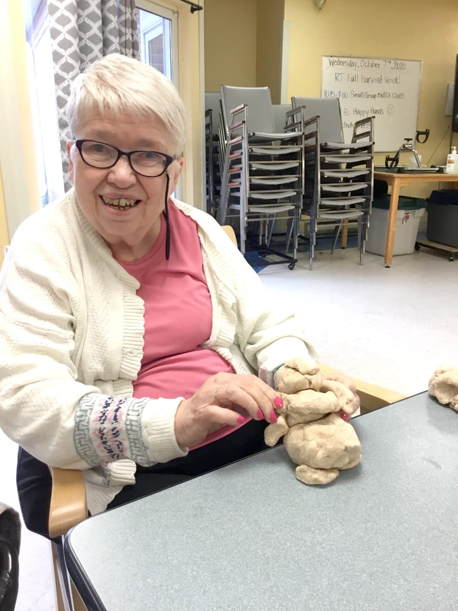 Residents at Royal Terrace host fall fair post image