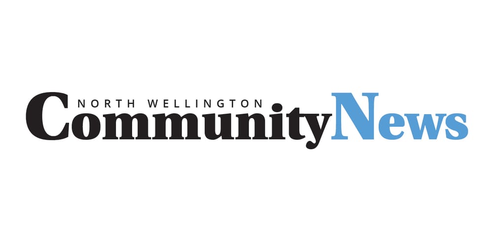 Council defers decision on appointment to chamber post image