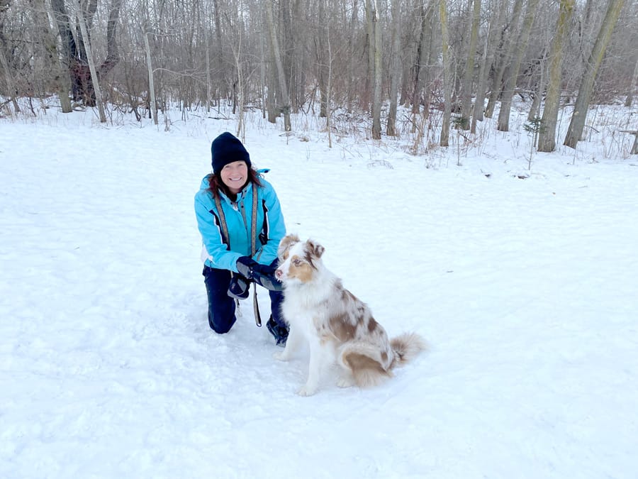 Experts say pets also impacted by pandemic, urge province to reopen groomers post image