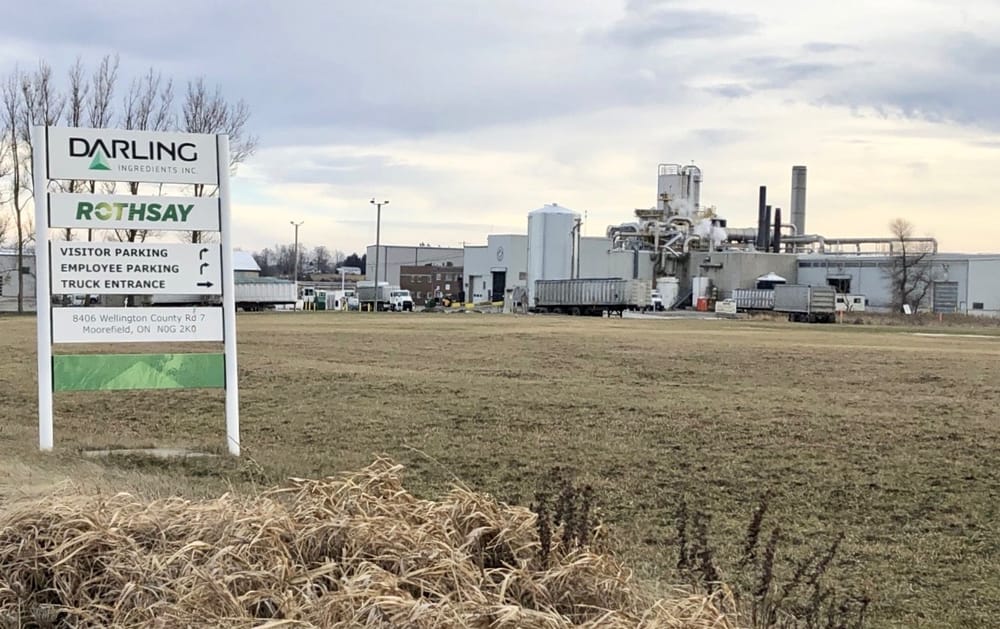 Mapleton mayor to participate in tribunal in support of Rothsay/Darling appeal post image