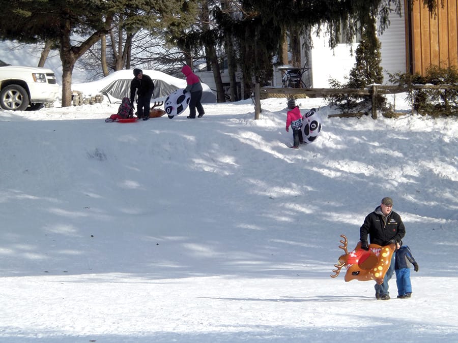 Winter fun at Palmerston's Lawrence Park post image