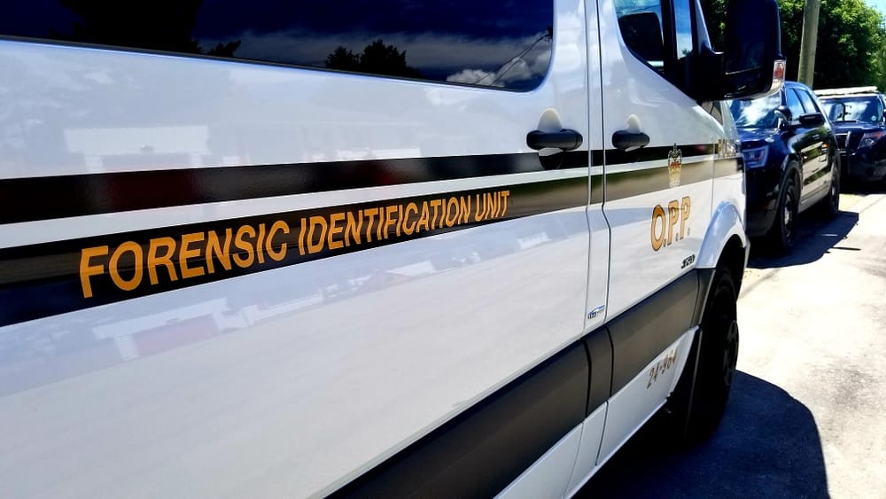 Human remains discovered in wooded area in Guelph/Eramosa post image