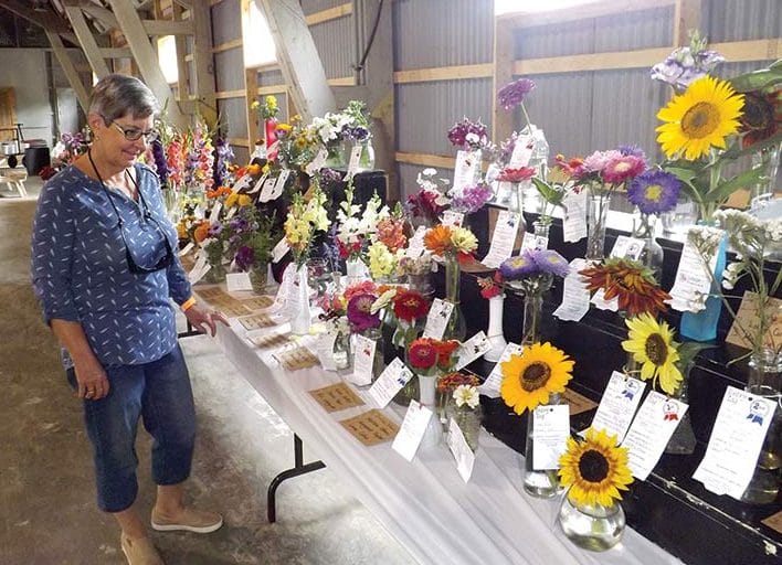 Drayton Fair cancelled again – but some events will carry on post image