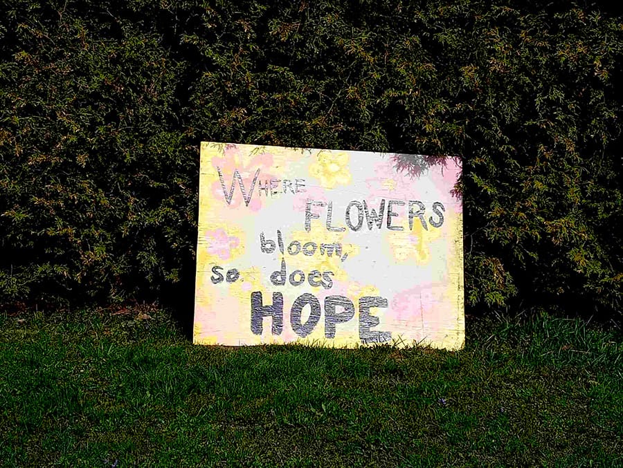 Messages of hope in Alma post image