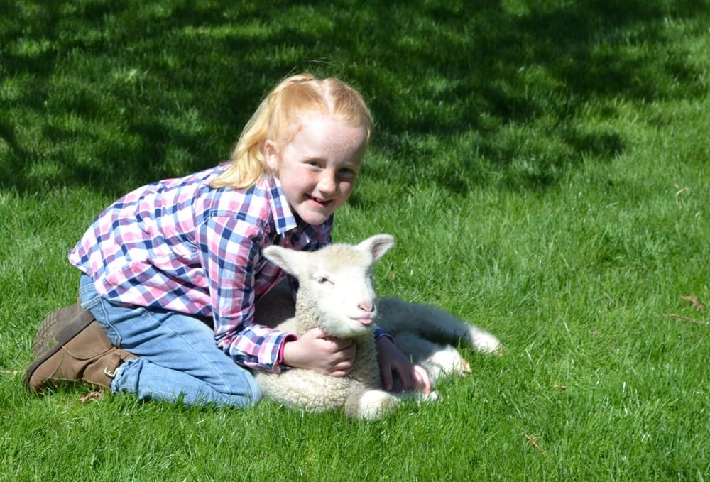 Guelph/Eramosa girl hosts TVOKids series about life on the farm post image