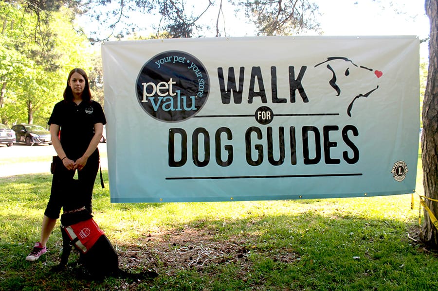 Walk for Dog Guides goes virtual post image