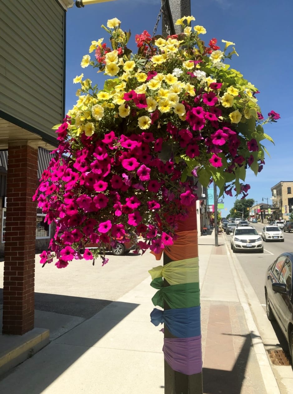 Minto Pride committee active in June post image