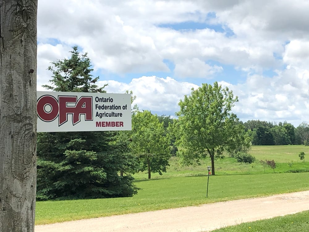 Mapleton agrees to cooperate with OFA in cost of community services study post image