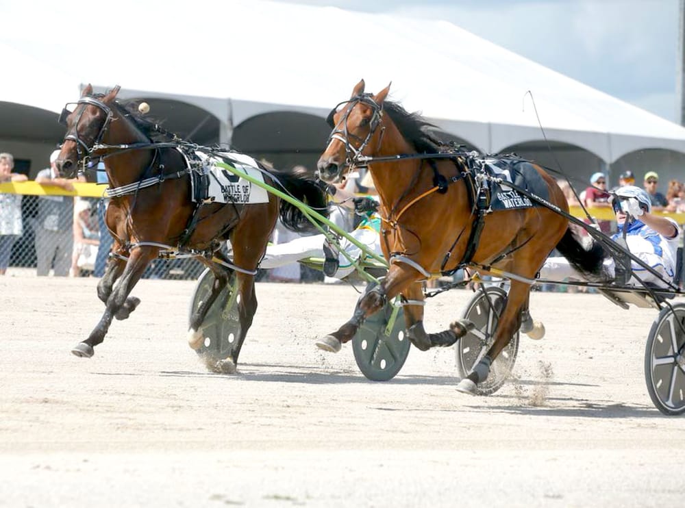 Favourites prevail in Industry Day battles post image