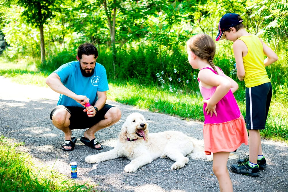 Dog trainer educates children on importance of dog safety post image