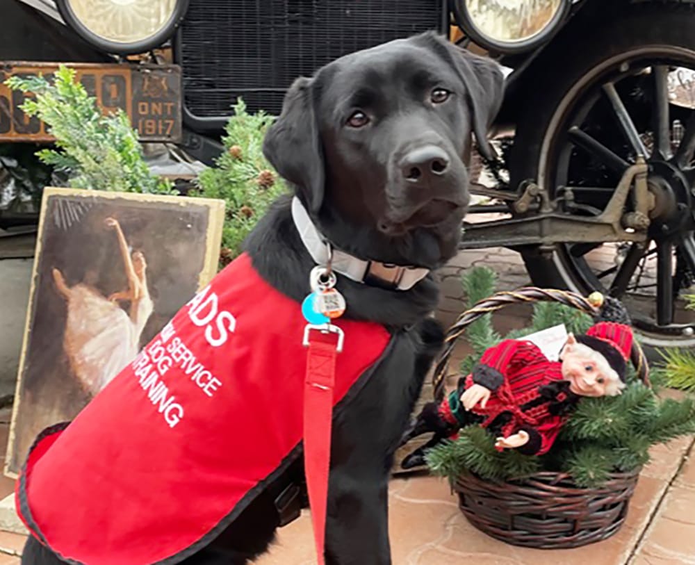 Students participate in charity contest, resident shares experience volunteering post image