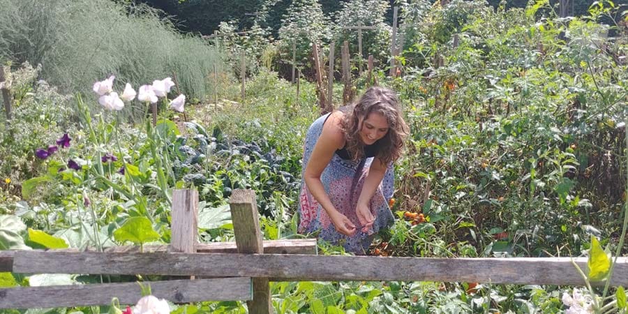 Gardening shows its seedy side at this time of year post image