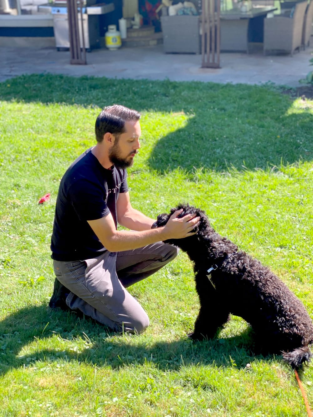 Local dog trainer releases tips on how to keep dogs safe, happy and stress-free on Halloween post image