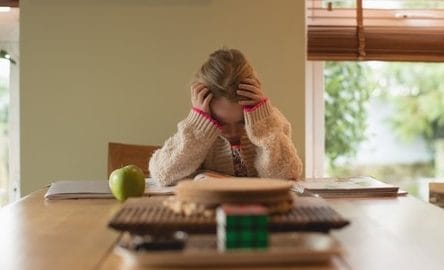 Local school boards recognize mental health toll of pandemic uncertainty on students post image