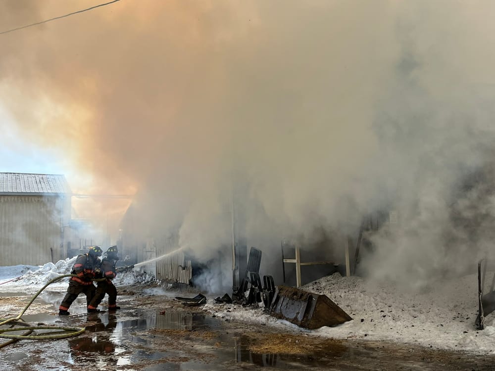 Around 100 cattle rescued from barn as firefighters battled stubborn blaze post image