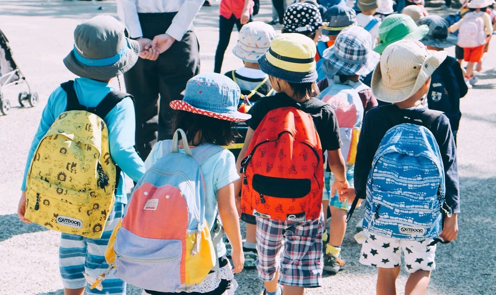 School boards receive funding from province for tutoring support programs post image