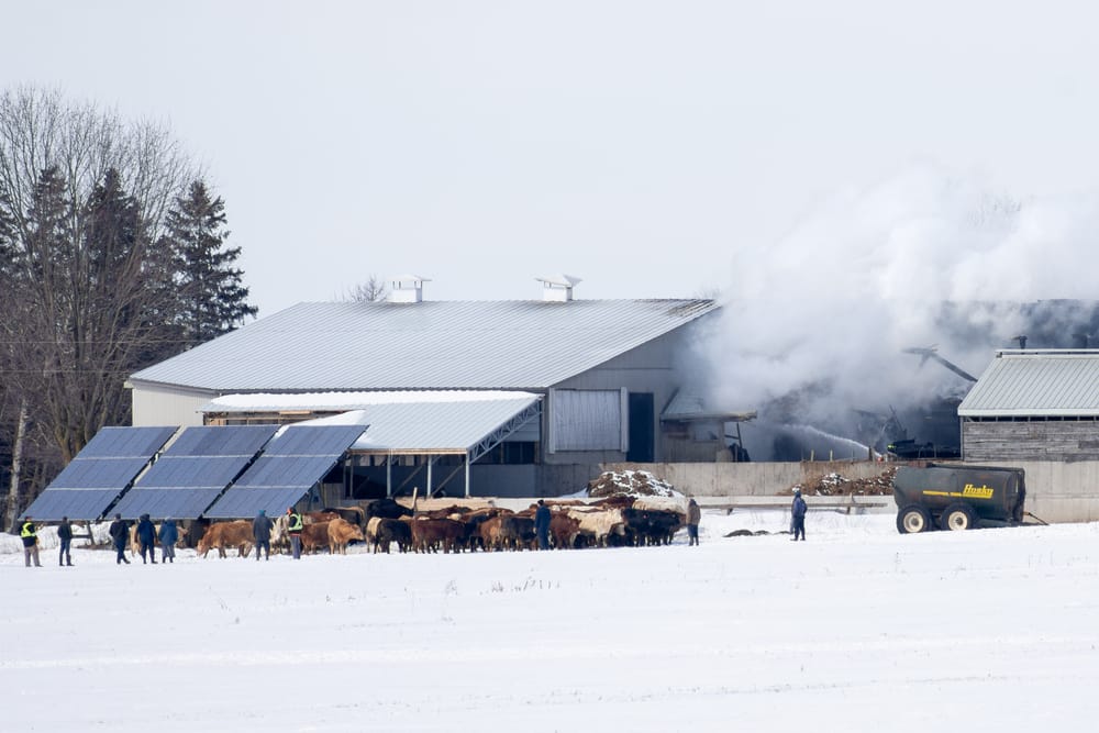 Barn fires are costly and can be catastrophic; here’s how you can prevent them post image