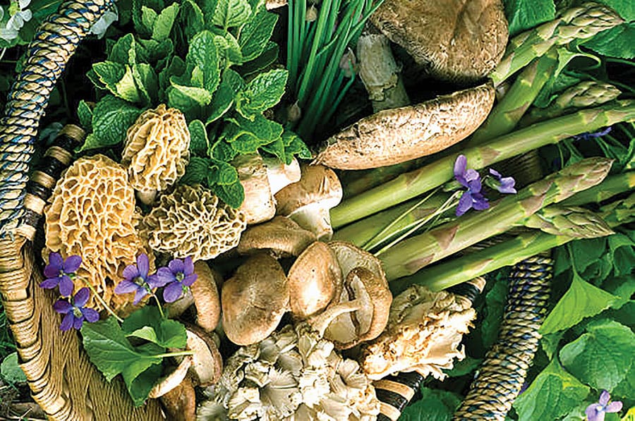 Foraging? Go where the wild things grow post image