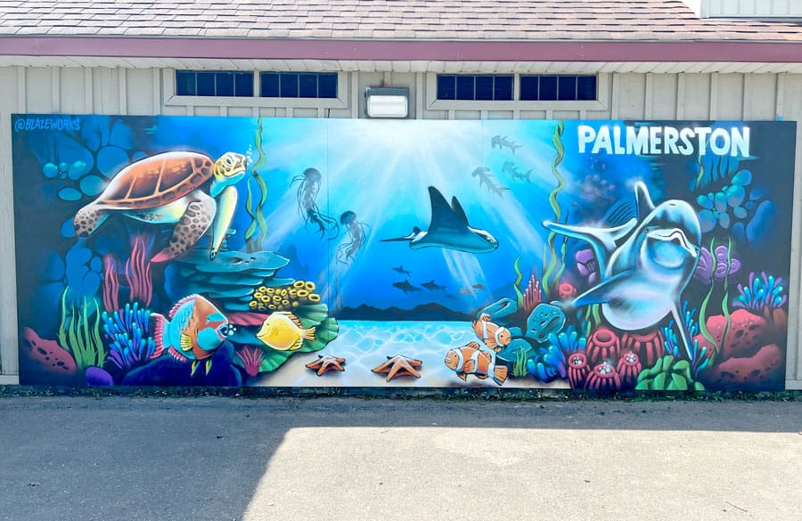 More murals created on buildings in Minto post image