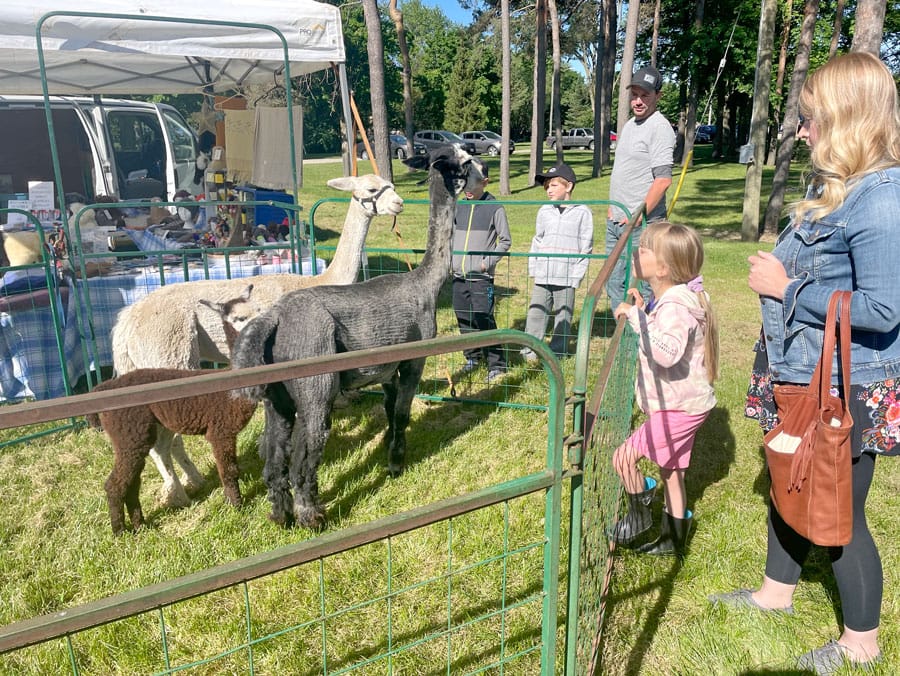 Harriston Garden Festival more than just gardens post image