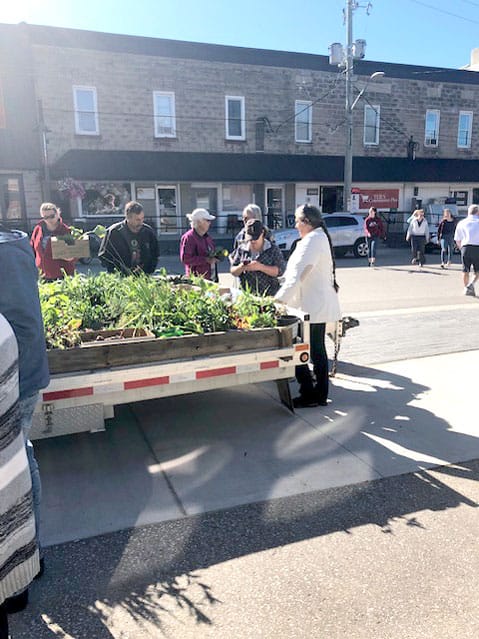 Mapleton Buds and Blooms holds successful plant sale post image