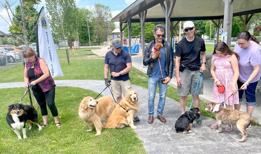 Walk for Guide Dogs raises over $4,400 post image