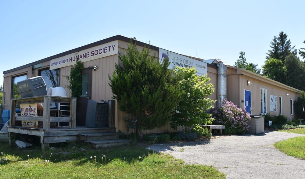 Humane society raising funds for new home post image