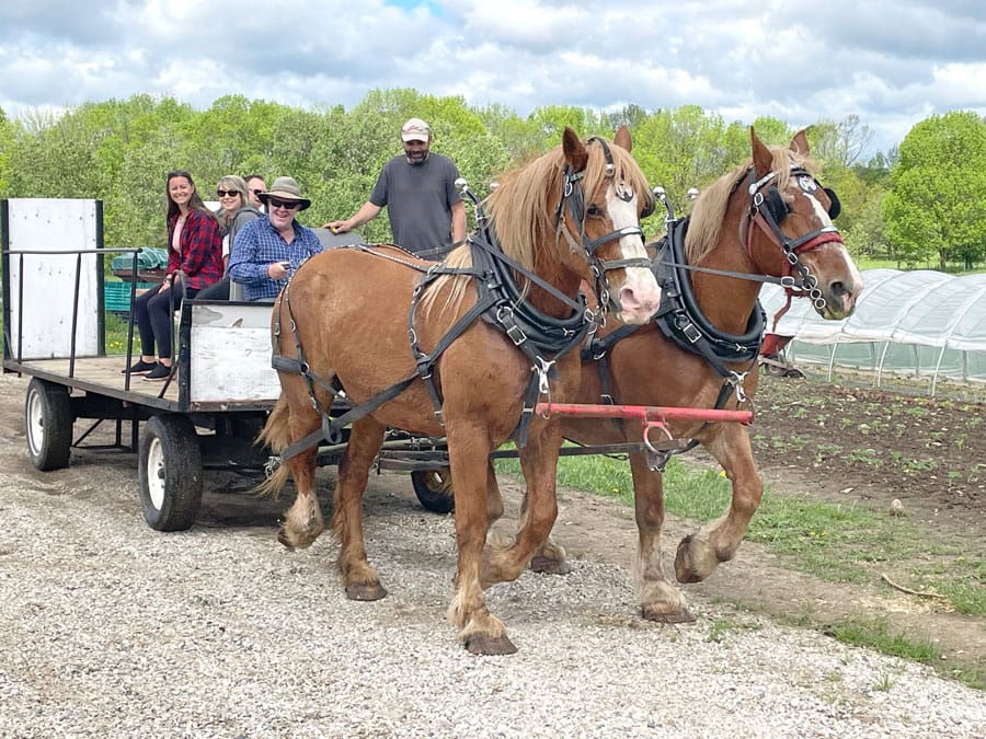 Spring Rural Romp welcomed visitors to farms and rural businesses post image