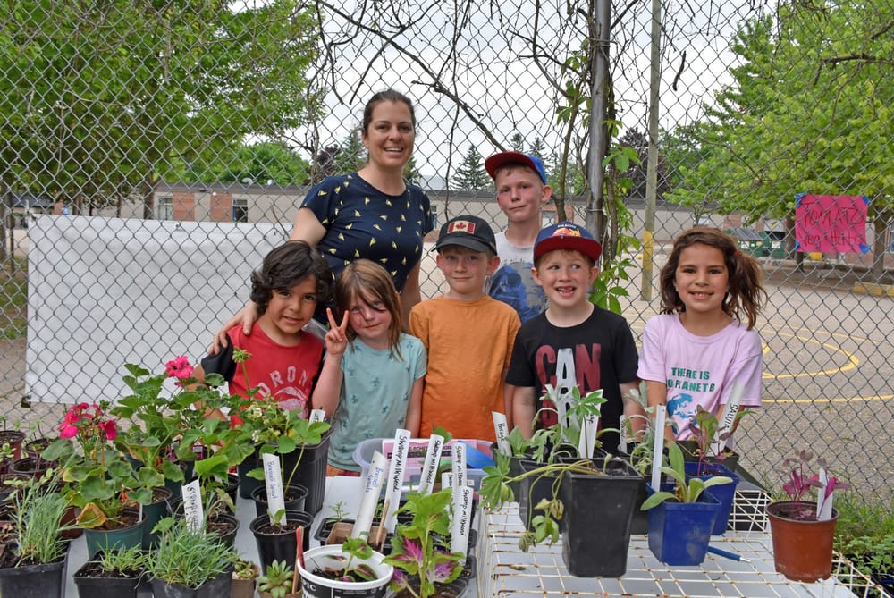 James McQueen Public School hosts plant sale post image